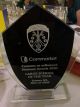 Cumann na mBunscol Large School of the Year